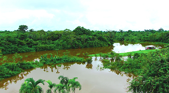 Iquitos Amazonia peruana curso CSF