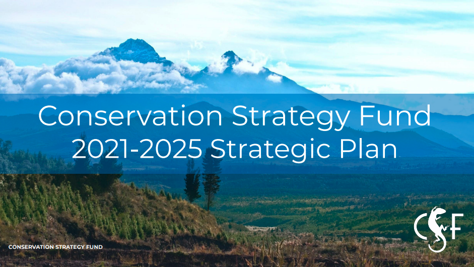 Conservation Strategy Fund 2021-2025 Strategic Plan
