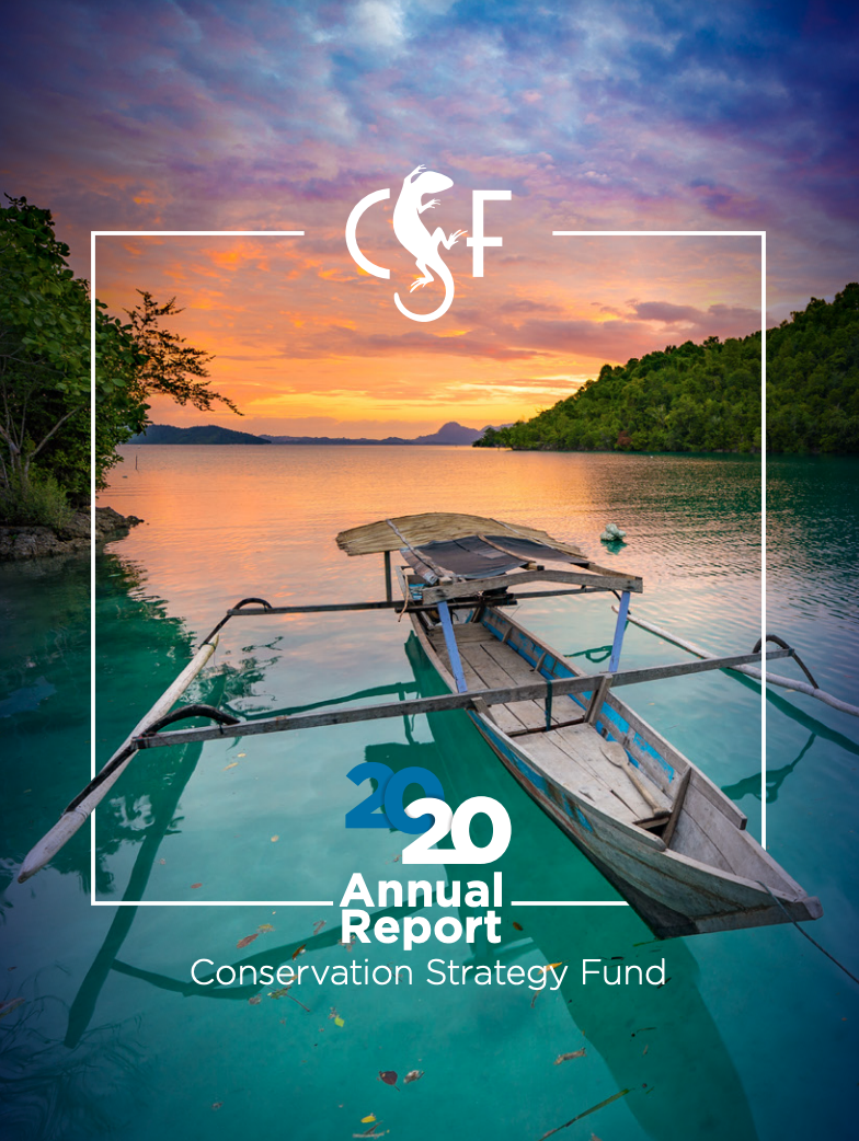 Read CSF's 2020 Annual Report