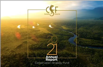 CSF 2021 Annual Report 