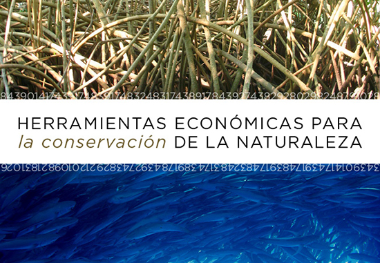 Graduación 2016 México curso Herramientas económicas