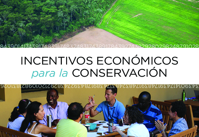 curso Bolivia incentivos económicos