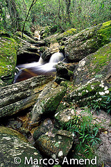 Photo of waterfall in Mata Atlântica