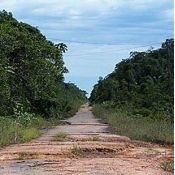 Photos of BR-319 Road in Brazilian Amazon