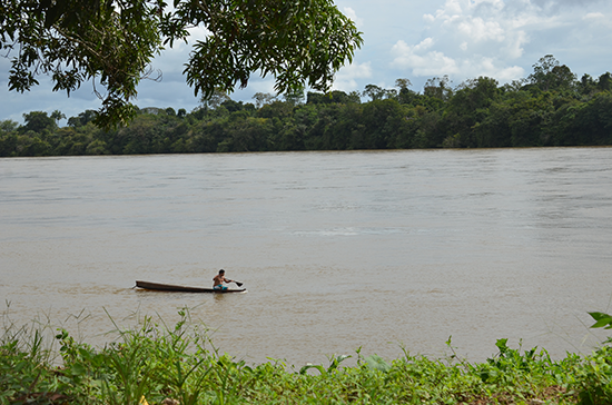 Tapajos Brazil conservation strategy fund