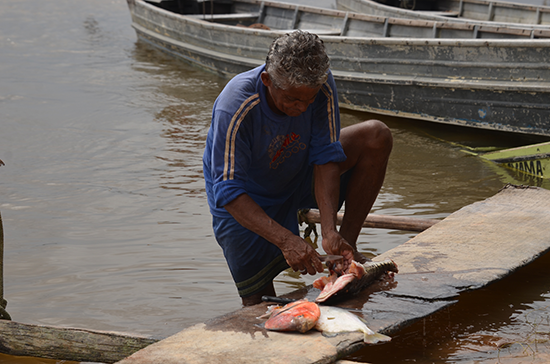 Tapajos Brazil conservation strategy fund