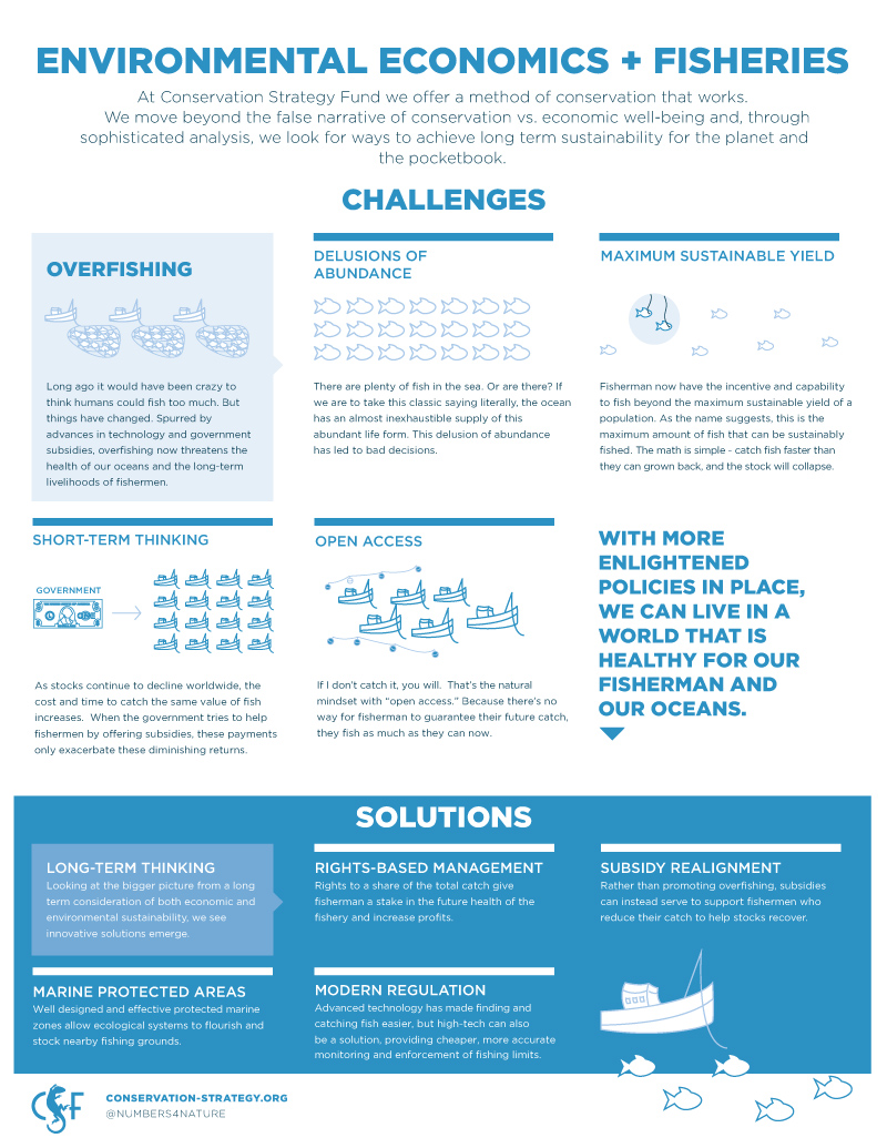 CSF fisheries infographic