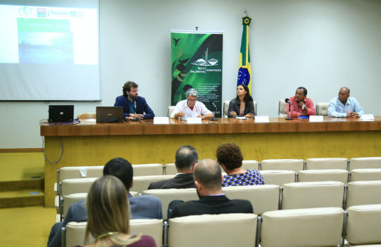 CSF Castanheira dam hidrelétrica