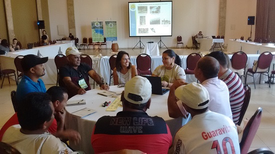 CSF Encontro Parceiros São Luís Cadeias de Valor