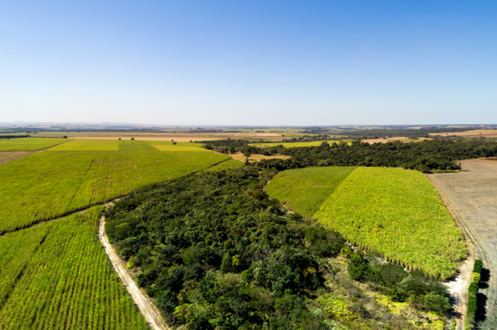 Environmental Reserve Quotas Brazil Conservation Economics