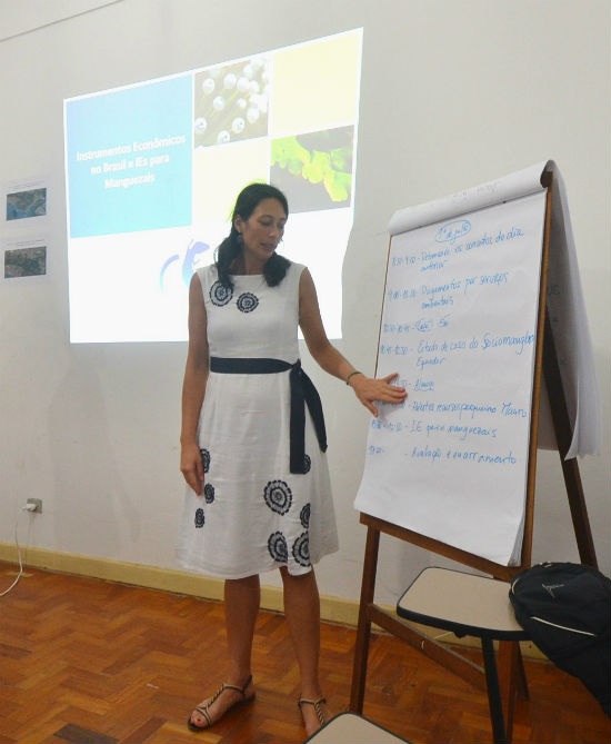 CSF GEF Mangues Economic tools course for natural resource management