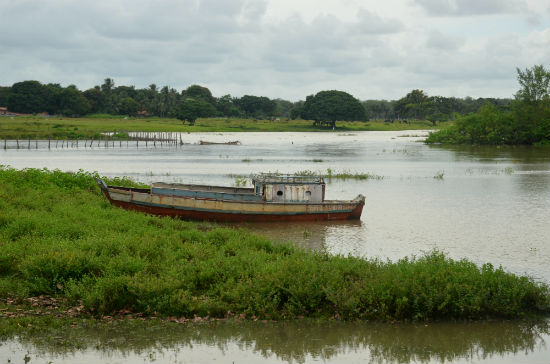 CSF GEF Mangues Pará