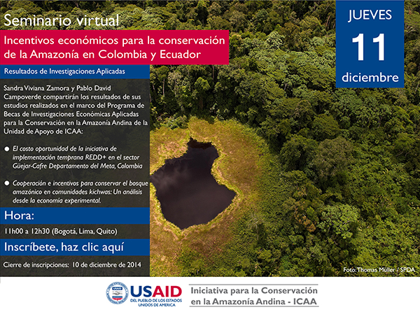 USAID ICAA seminario virtual