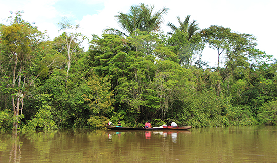 Iquitos Amazonia peruana curso CSF