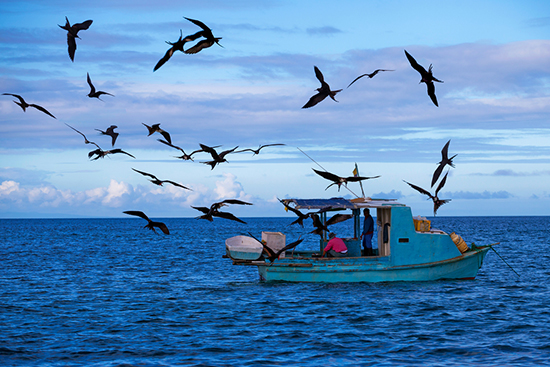 online coastal conservation economics course fishing boat