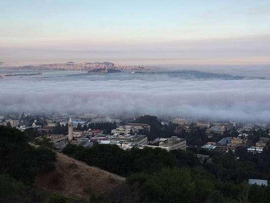 International Economic Tools for Conservation UC Berkeley