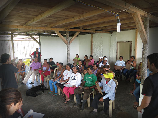 mangrove meeting