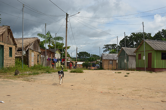 ecosystem services tapajos para brazil