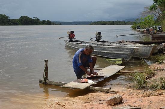 ecosystem services tapajos para brazil