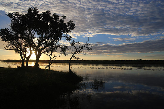 environmental economic analysis infrastructure policy uganda sunrise