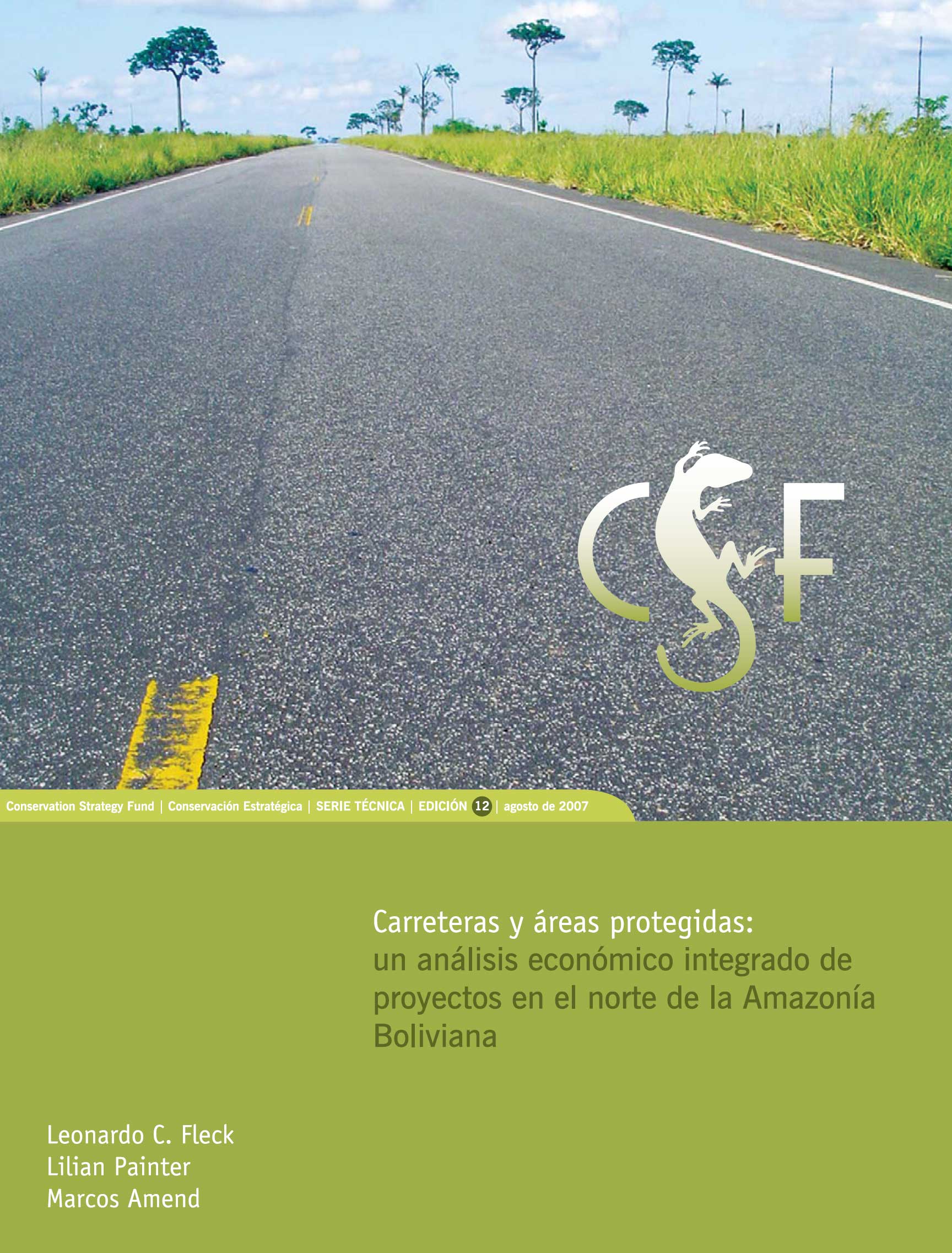 Front cover of report showing close up of road through cleared amazon forest