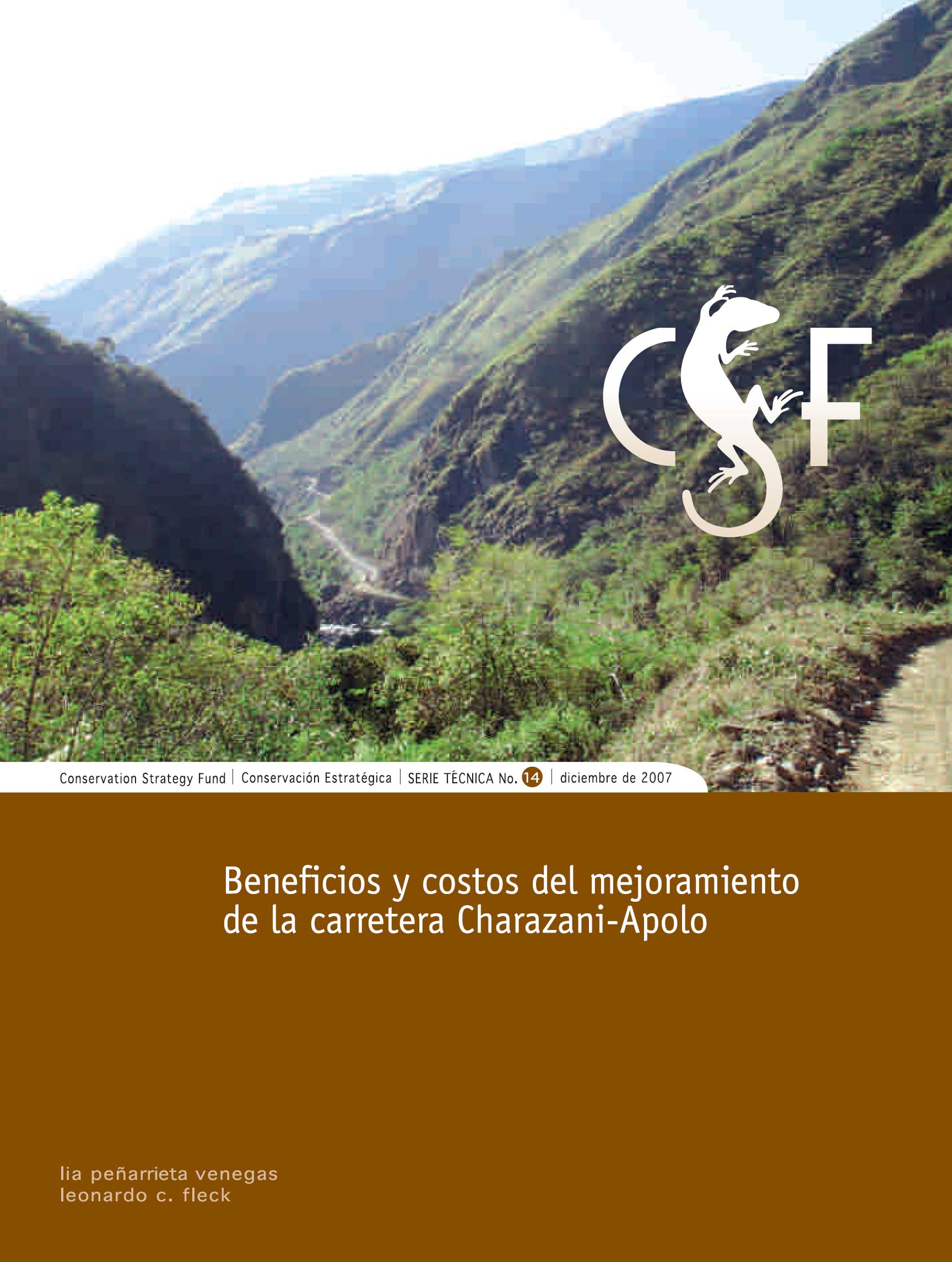 Front cover of report showing mountains and a road in Bolivia