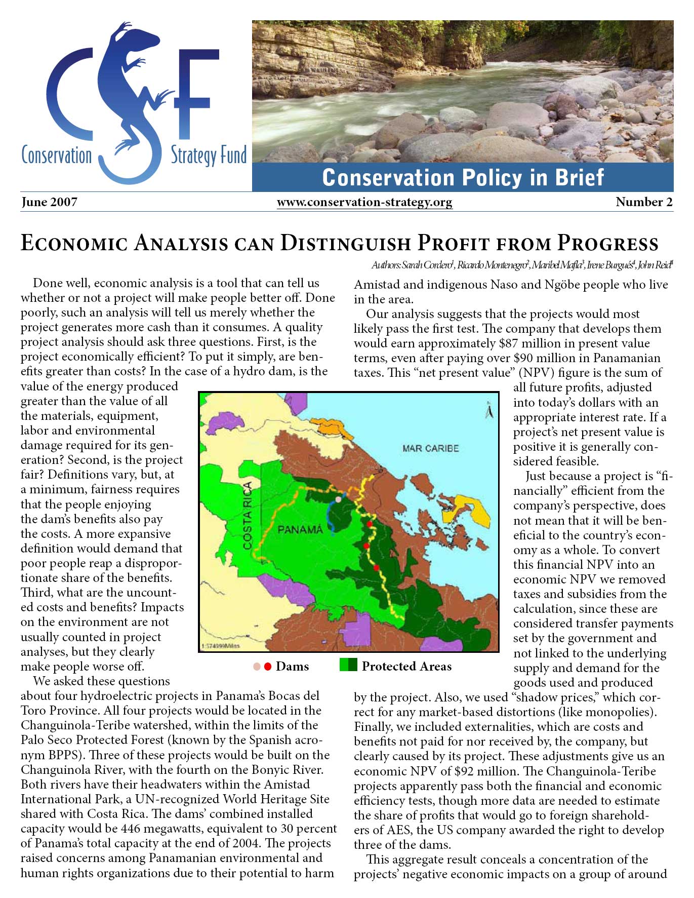 csf policy brief 2 image