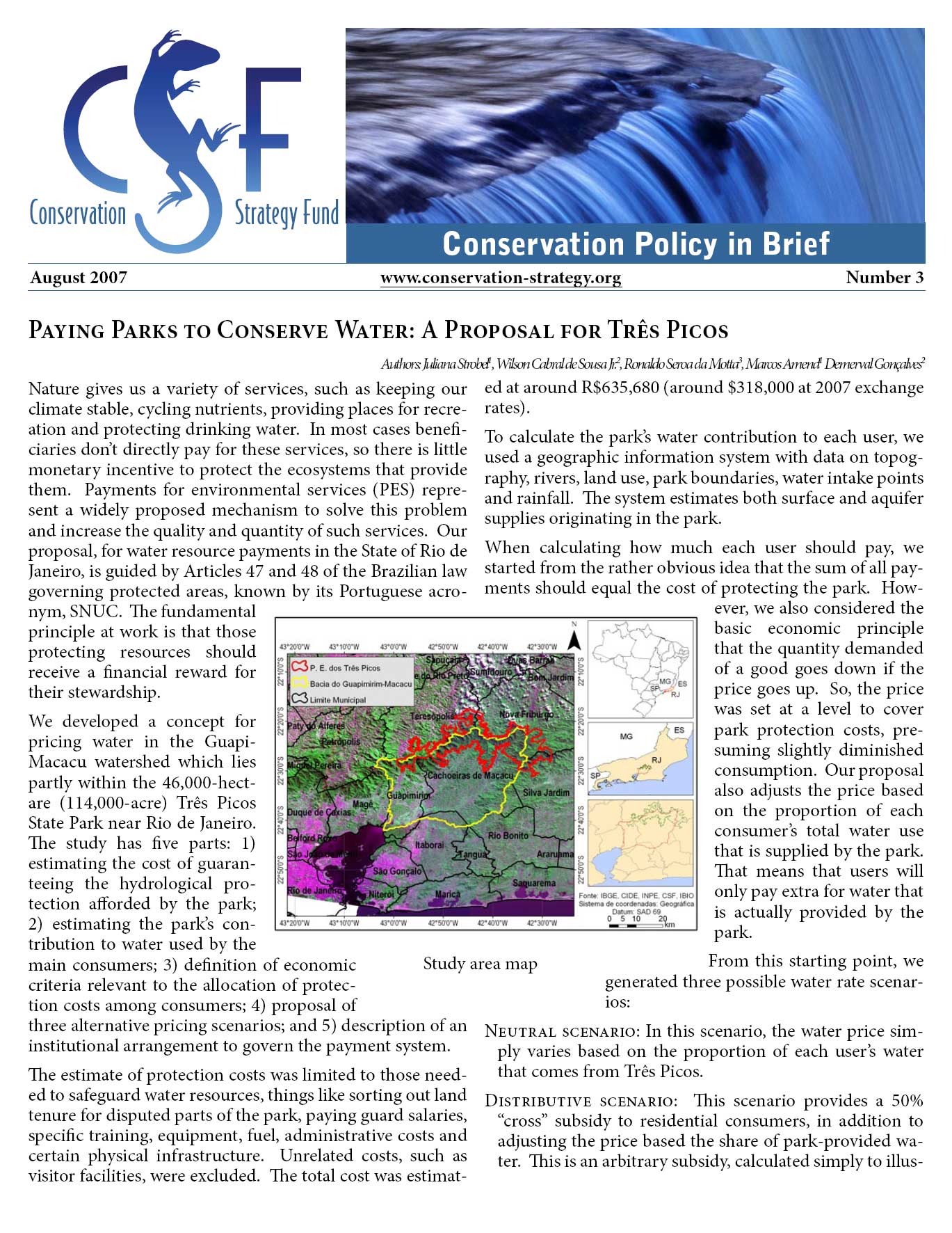 CSF policy brief 3 en image