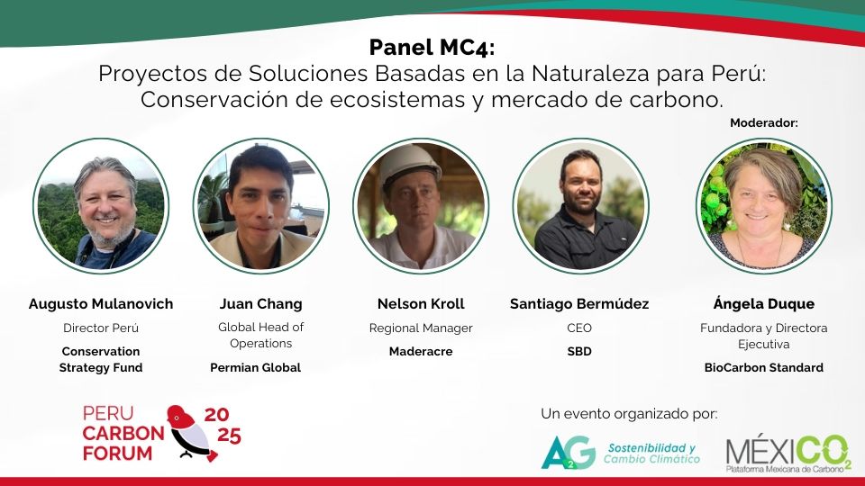 Panel