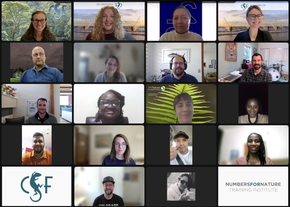 Participants, instructors and course staff in smile from their webcams. The CSF and Numbers for Nature logo are on the bottom left and right of the photo.