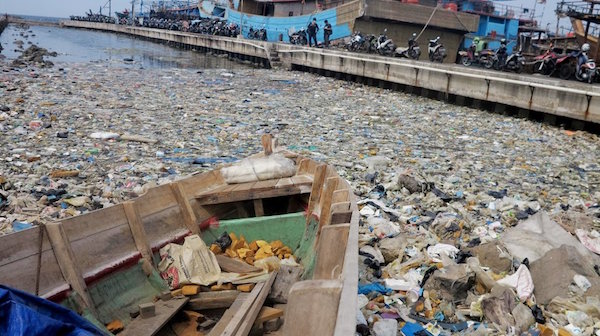 marine fellowship program indonesia plastic