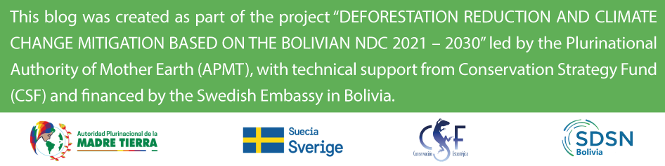 SDSN Bolivia Blog Post Partners