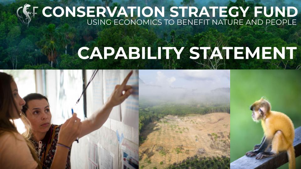 CSF Capability Statement Download Link