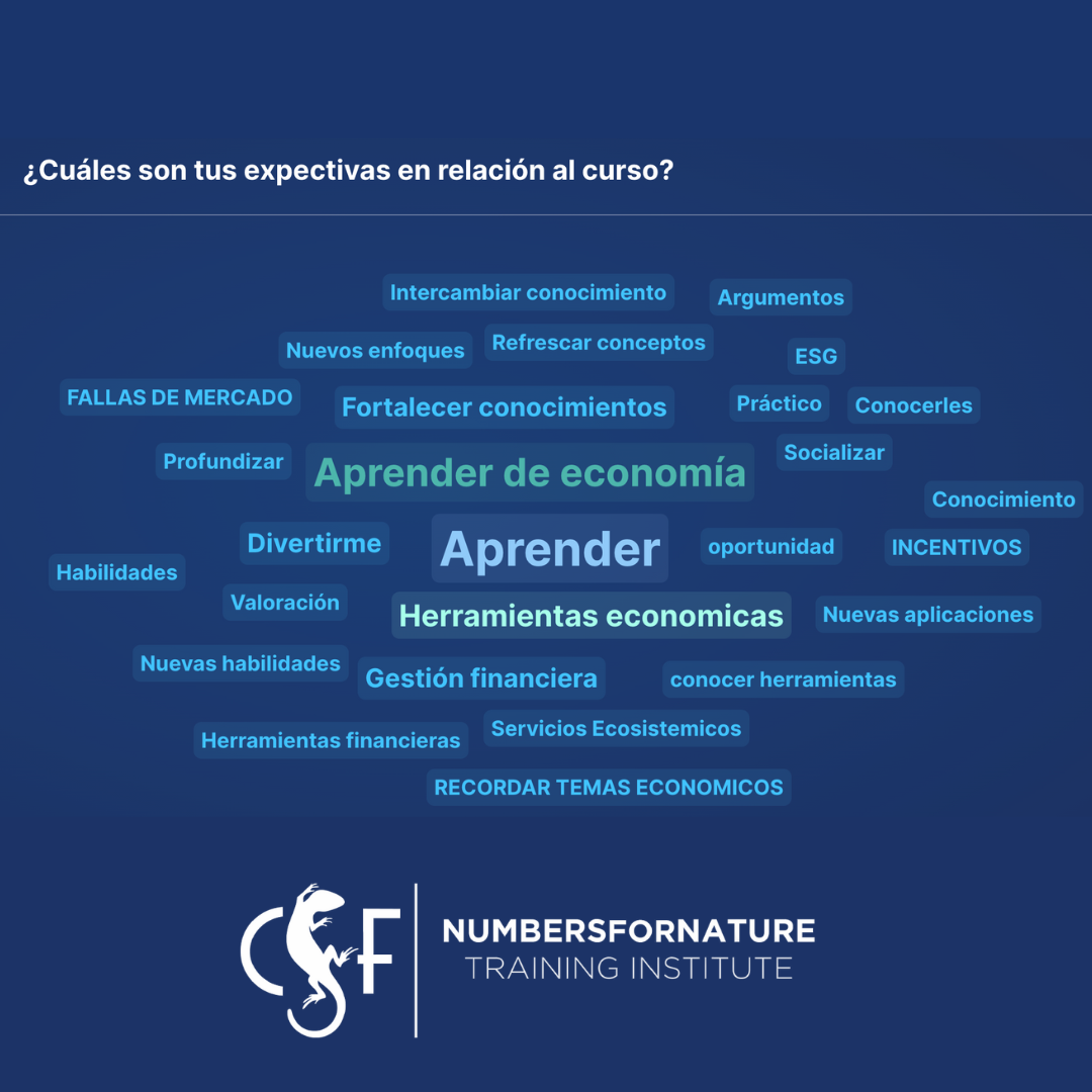 Expectativas de los y las estudiantes del curso.