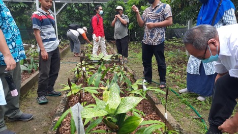 DTI nursery in Bogor City. Photo by Sopian Hidayat