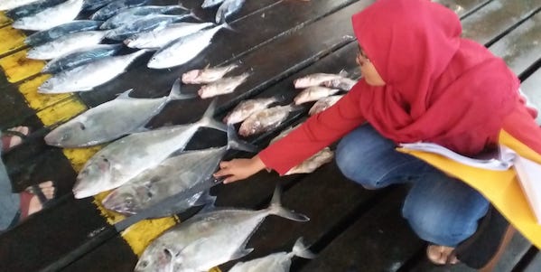 Fisheries management research Indonesia