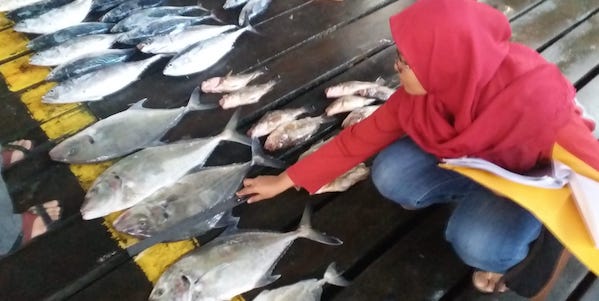 Fisheries management research Indonesia