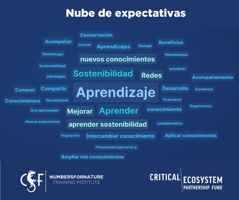 Nube de exéctativas 