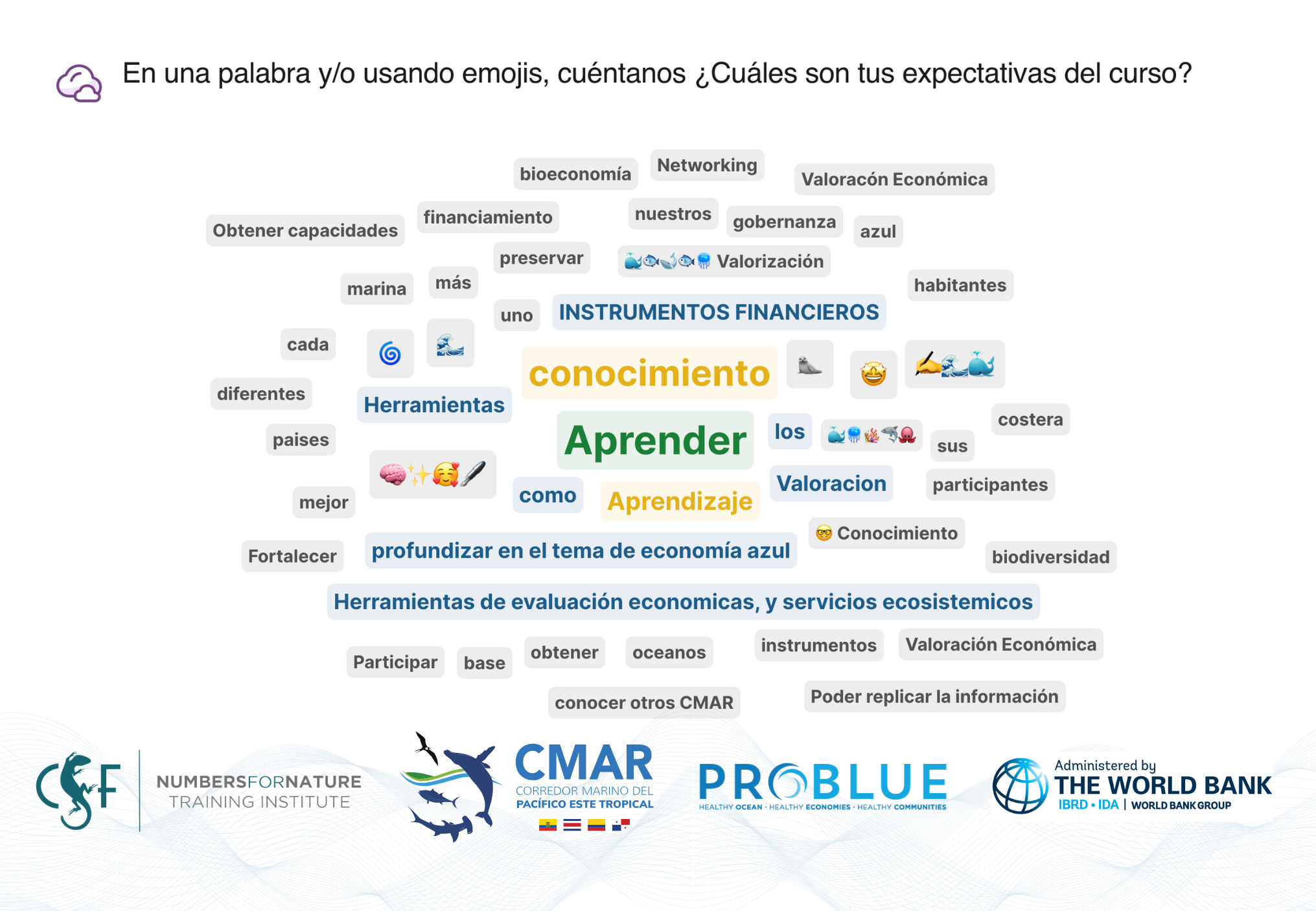 Expectativas