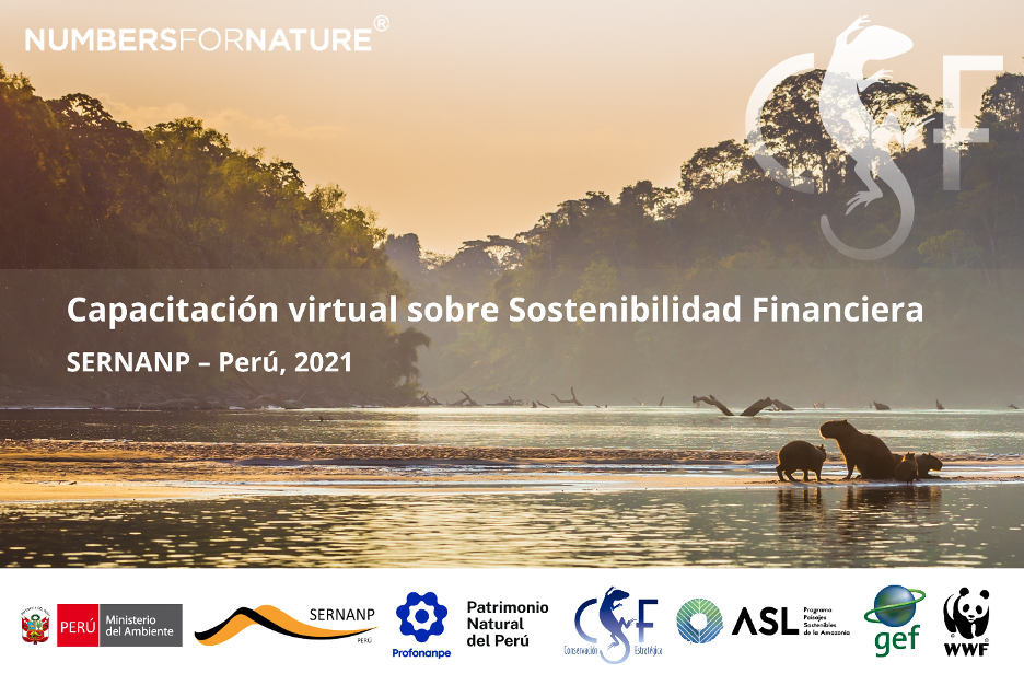 ¡CSF Inicia El Primer Curso De Capacitación Virtual Del Año!