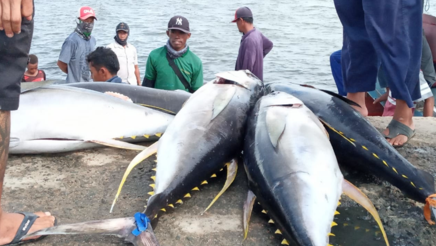 Local Fishermen unloading their catches of Yellowfin Tuna. Photo credit: Ehdra Beta Masran