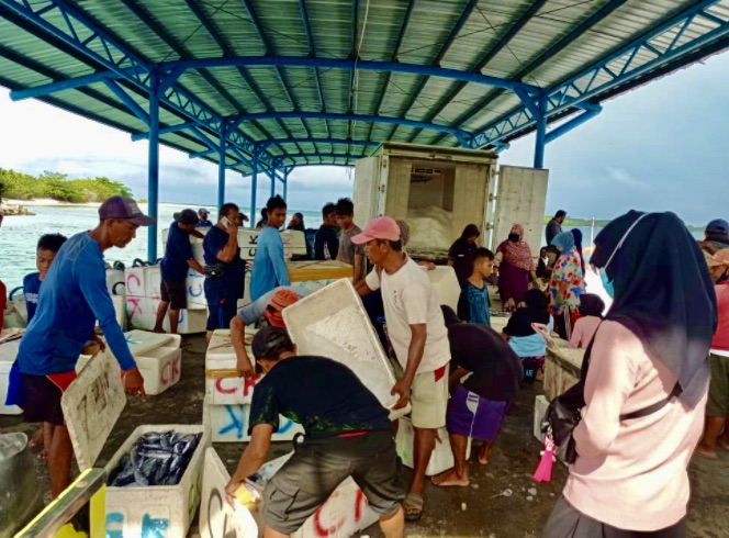 Alimudin Laapo conducting field research at the Tolitoli fish market. Photo credit: Alimudin Laapo