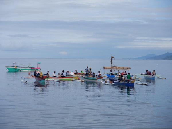 marine fellowship program whale shark tourism indonesia