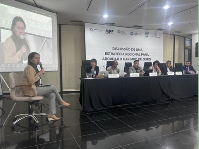 Panel session during the regional workshop on illegal mining and mercury use in the Amazon basin, Brasília.