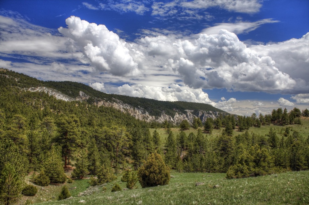 Photo Credit: The Bureau of Land Management Wyoming, USA | Source