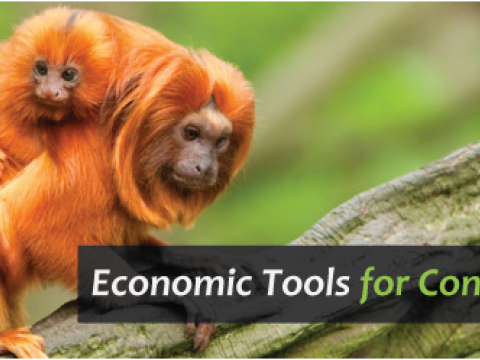Economic Tools for Conservation course header