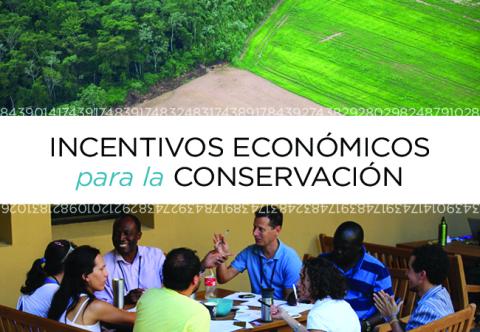 curso Bolivia incentivos económicos
