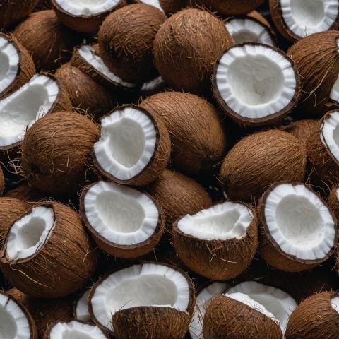 Stakeholder Mapping along the Coconut Supply Chain | Conservation
