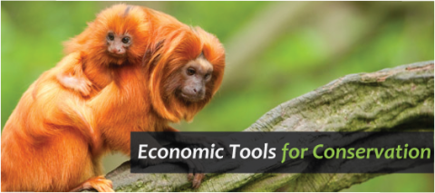 Economic Tools for Conservation course header