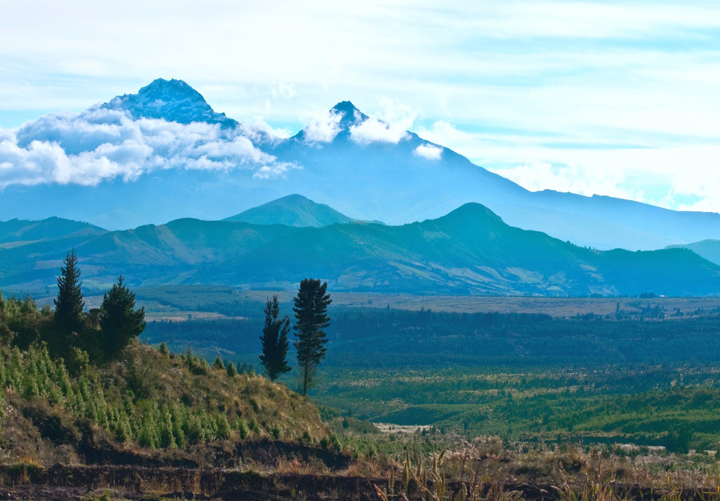 Photo credit: Shutterstock